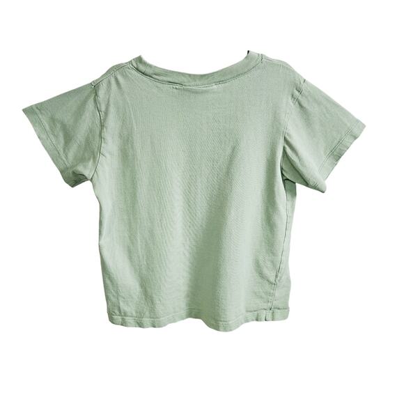 Big Fish Kids Size 4T T-Rex Attack Graphic Tee Shirt Sage Green Dinosaur Cotton - Picture 2 of 6